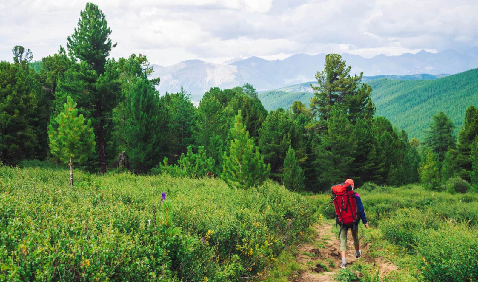 What to Pack if You're a Backpacking Vegan