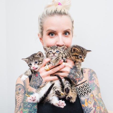 Fostering Kittens Will Fill That Gaping Hole In Your Heart 