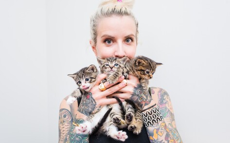 Fostering Kittens Will Fill That Gaping Hole In Your Heart 