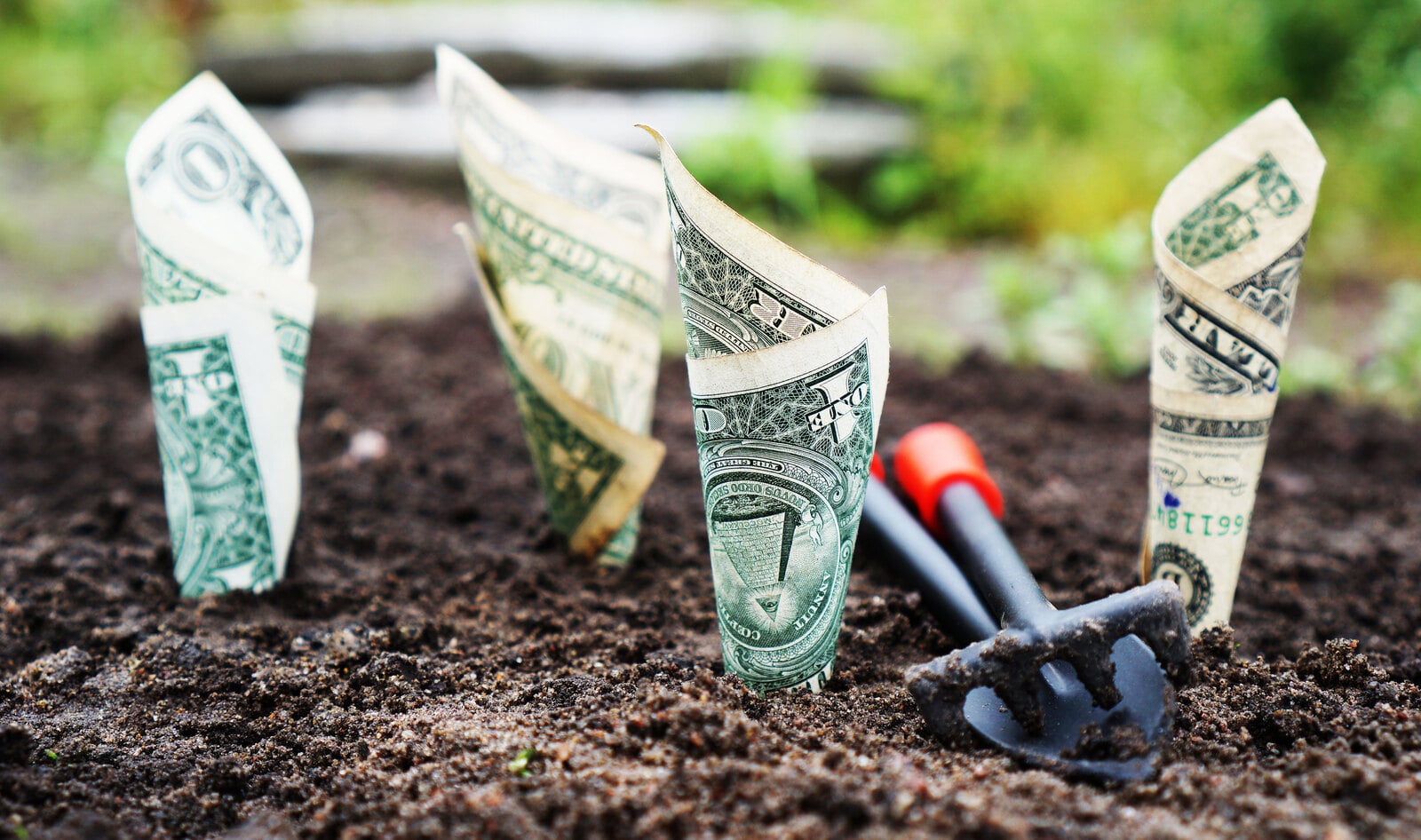 World's First Vegan Exchange-Traded Fund Opens For Trading