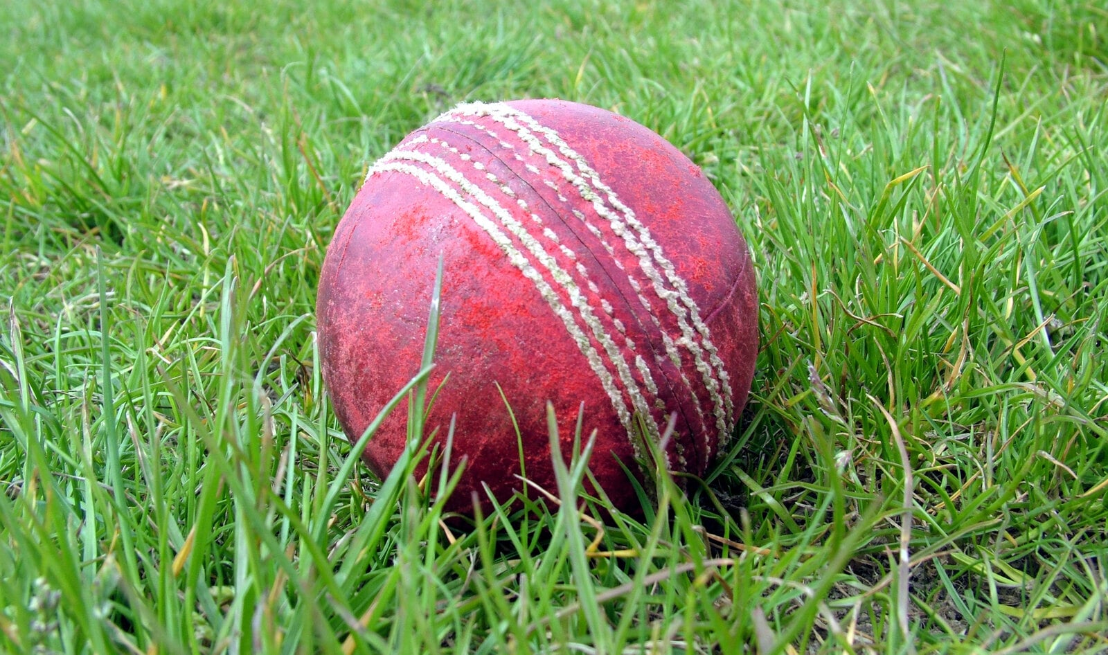 British Cricket Club Goes Vegan, Ball and All&nbsp;