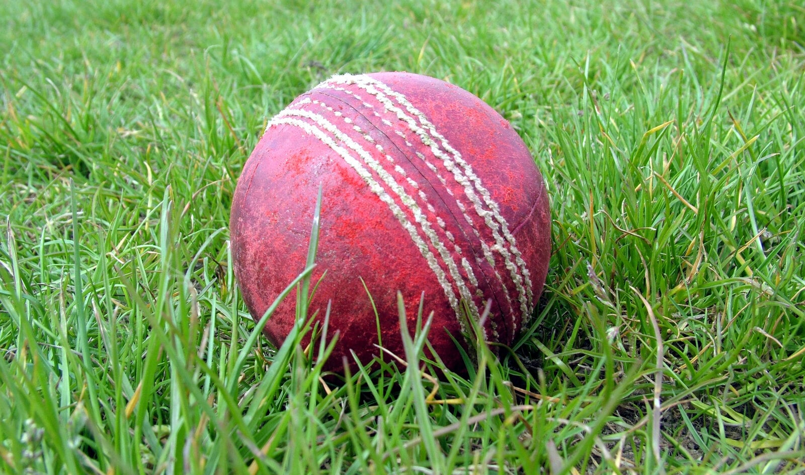 British Cricket Club Goes Vegan, Ball and All 