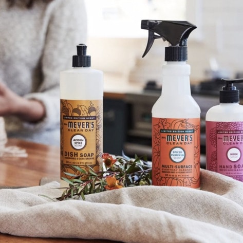 8 Non-Toxic House Cleaning Products to Make Your Vegan Home Sparkle