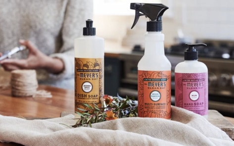 8 Non-Toxic House Cleaning Products to Make Your Vegan Home Sparkle
