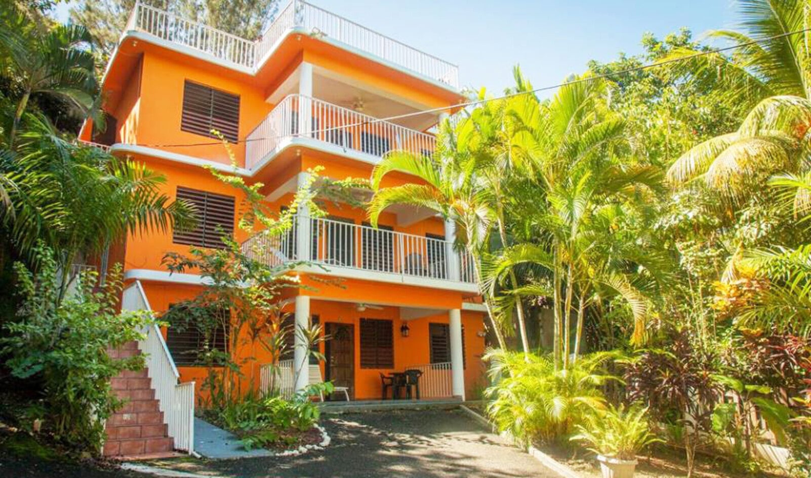 New Vegan Bed & Breakfast Opens in Puerto Rico