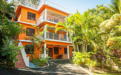 New Vegan Bed & Breakfast Opens in Puerto Rico