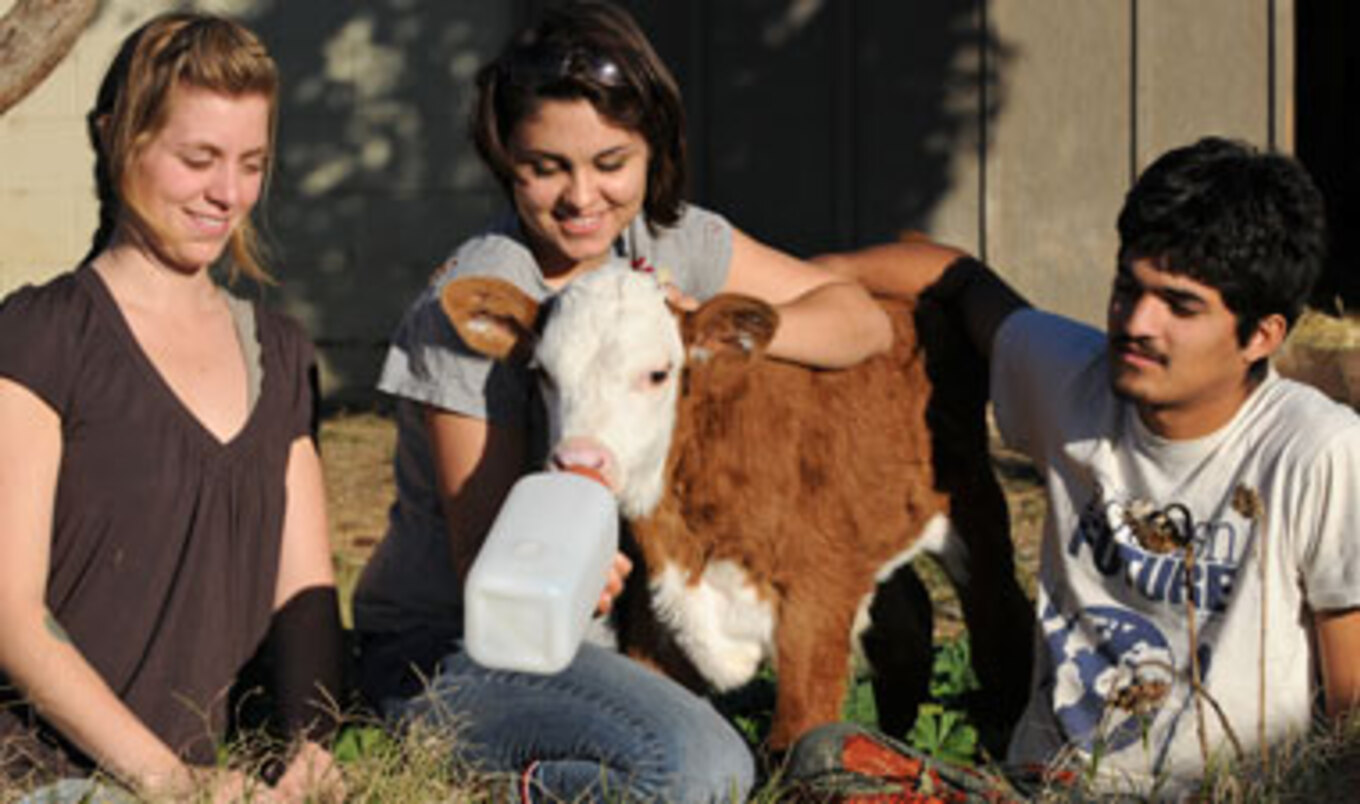 Farm Sanctuary Grows