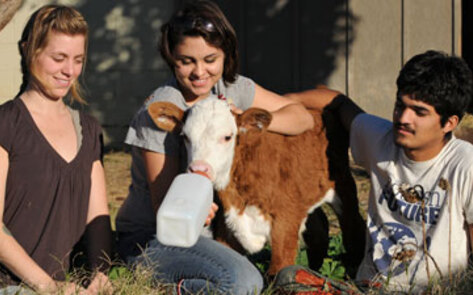 Farm Sanctuary Honored