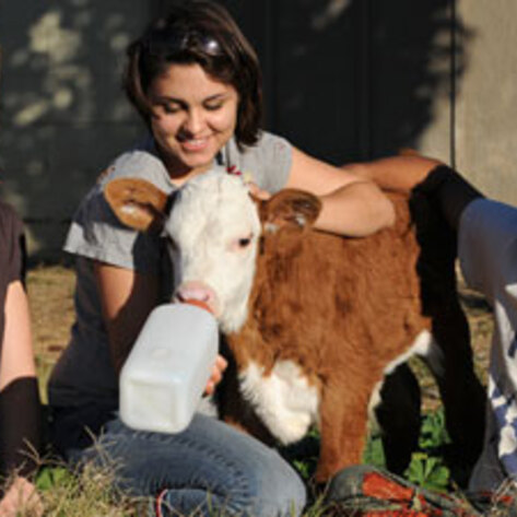 Farm Sanctuary Honored