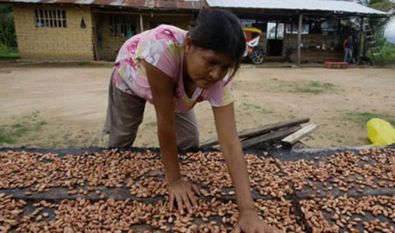 Fair-Trade Cacao