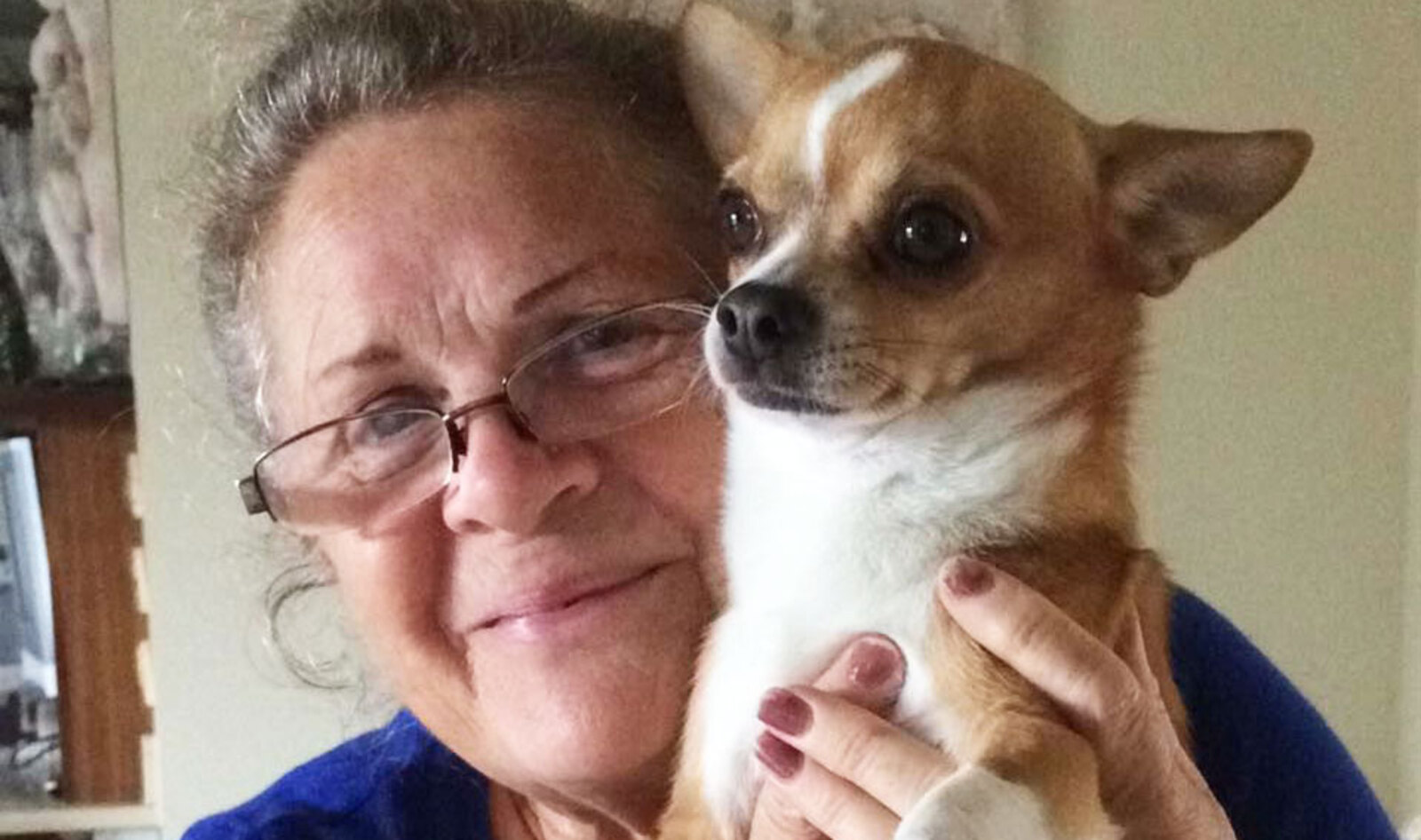 Vegan Grandmother Walks 120 Miles to Raise Money for Dog Rescue Charity 