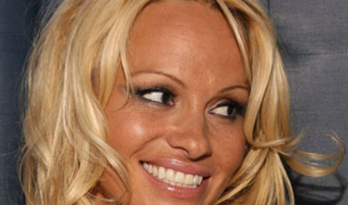 Actress Pamela Anderson Protests Ice Bucket Challenge