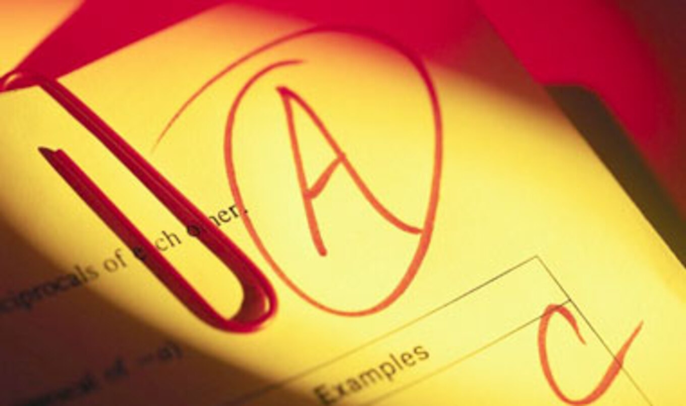 States Ranked In Animal Welfare