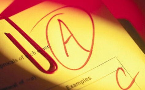 States Ranked In Animal Welfare