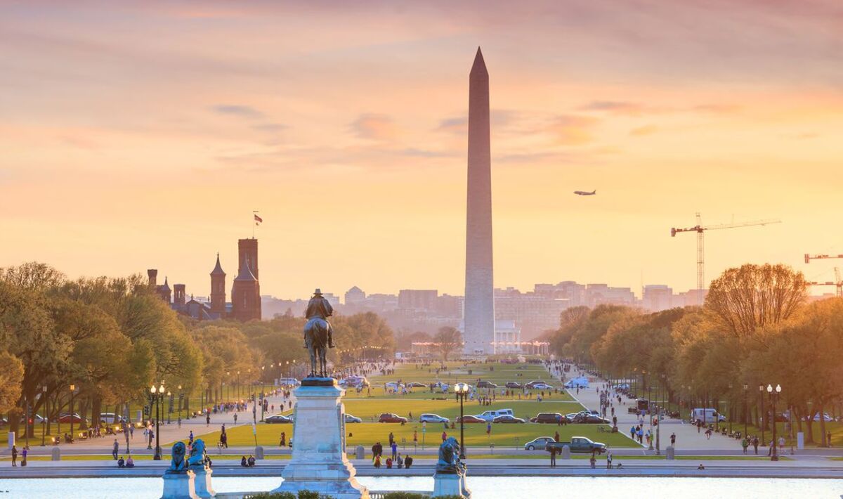A Vegan's 48-Hour Guide to Washington, DC - Vimarsana News