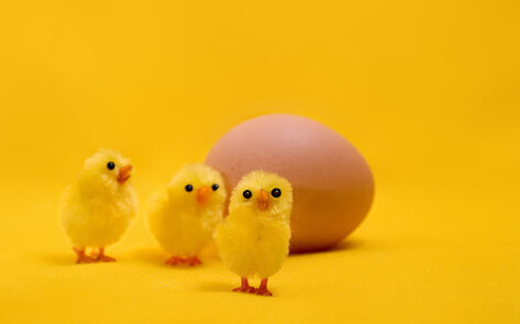 Interview with Erica Meier on Lightlife Foods' Vegan Line