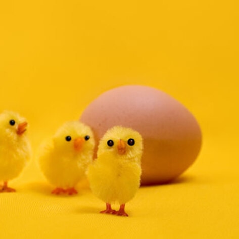 Interview with Erica Meier on Lightlife Foods' Vegan Line