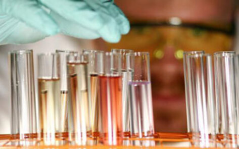 PETA Grant Aims to End Animal Testing in China