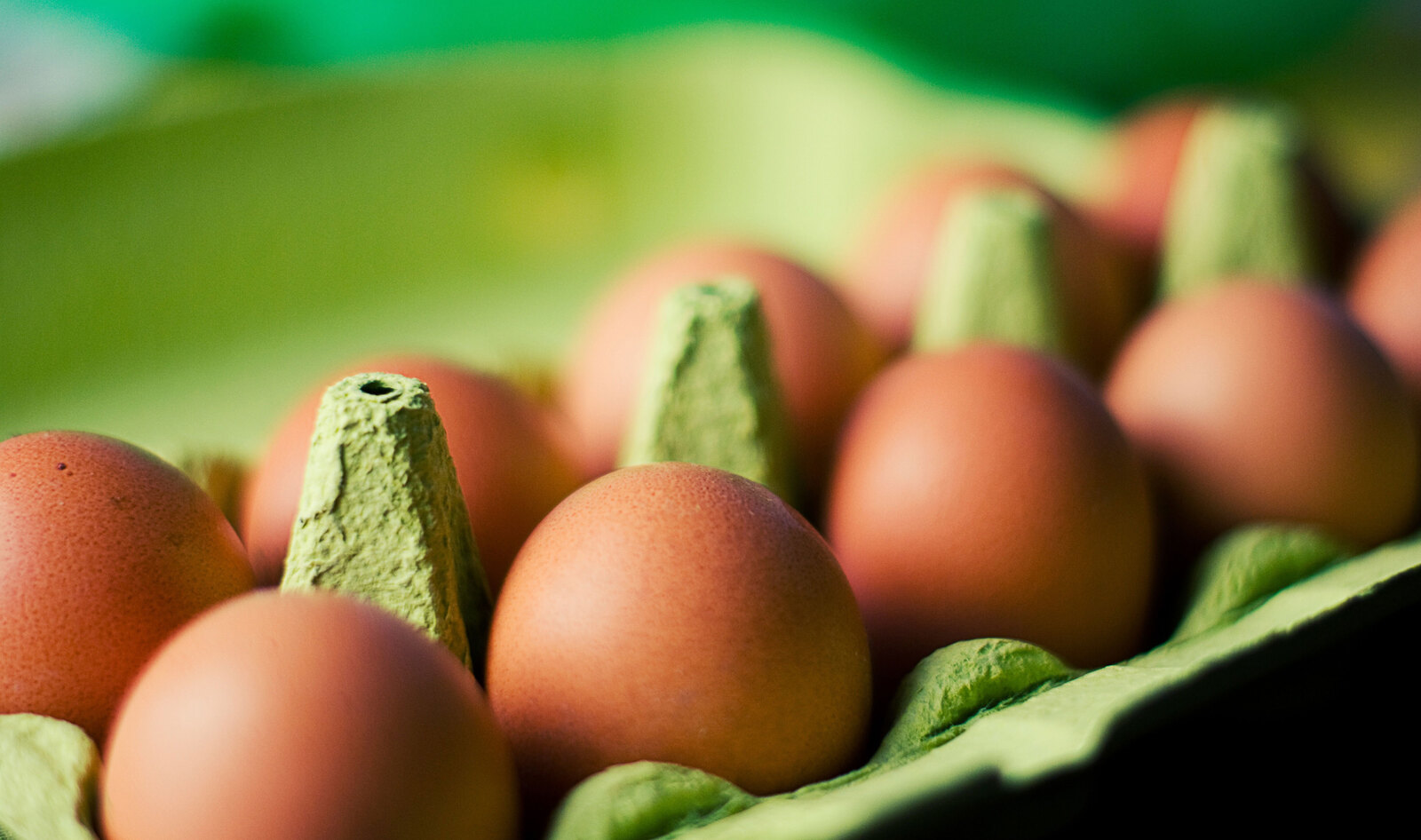 Companies Given “Rotten Eggs Awards” for Making False Cage-Free Egg Promises