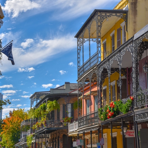 The Ultimate Vegan 48-Hour Guide to New Orleans 