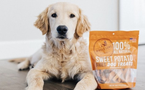 7 Vegan Treats Your Dog Wants This Halloween