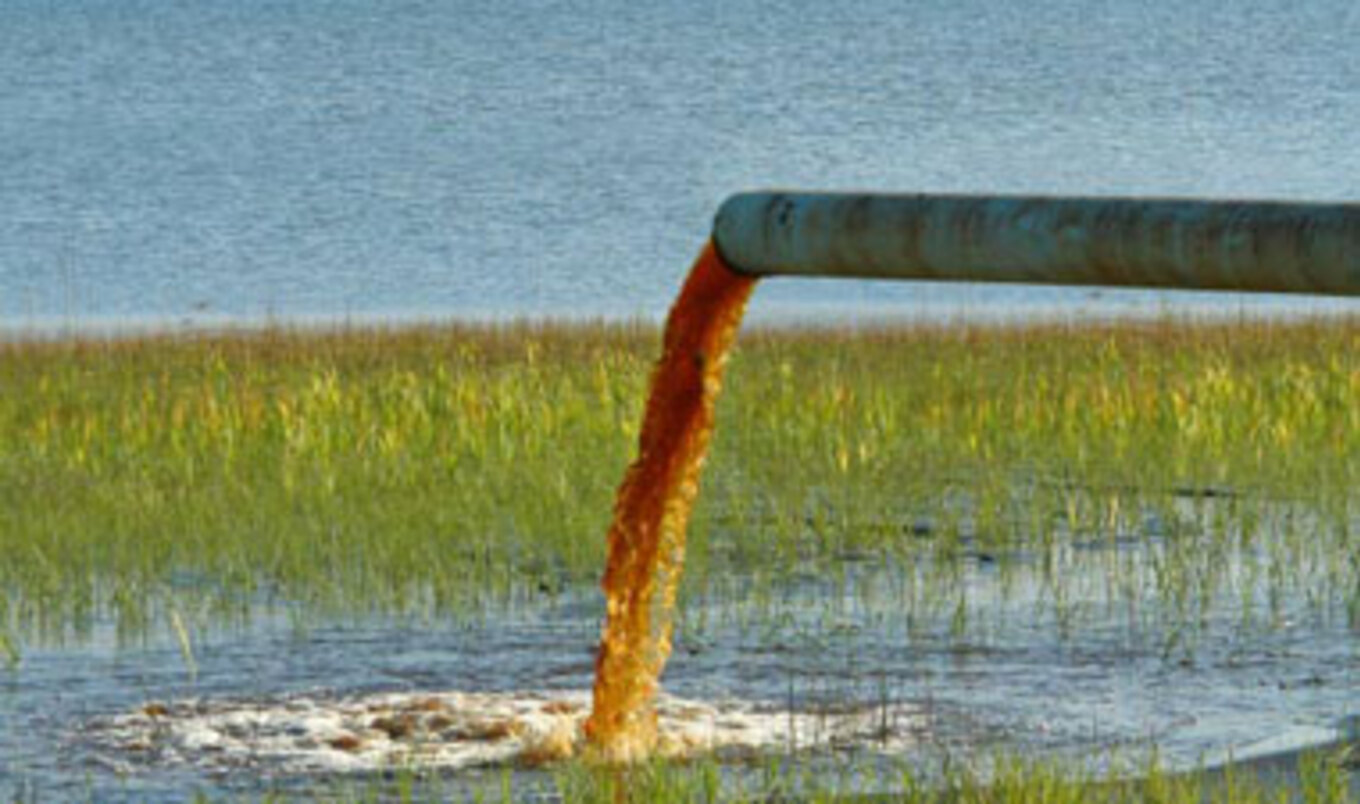 Dairy Farms Pollute Lake