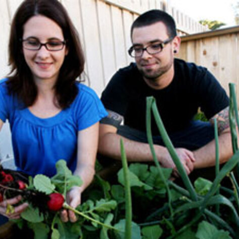 Dollar-a-Day Experiment