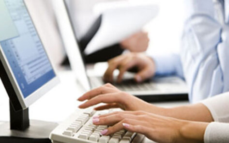 New Online Feature Puts Viewers in Gestation Crate