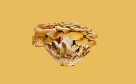VegNews.MaitakeMushrooms