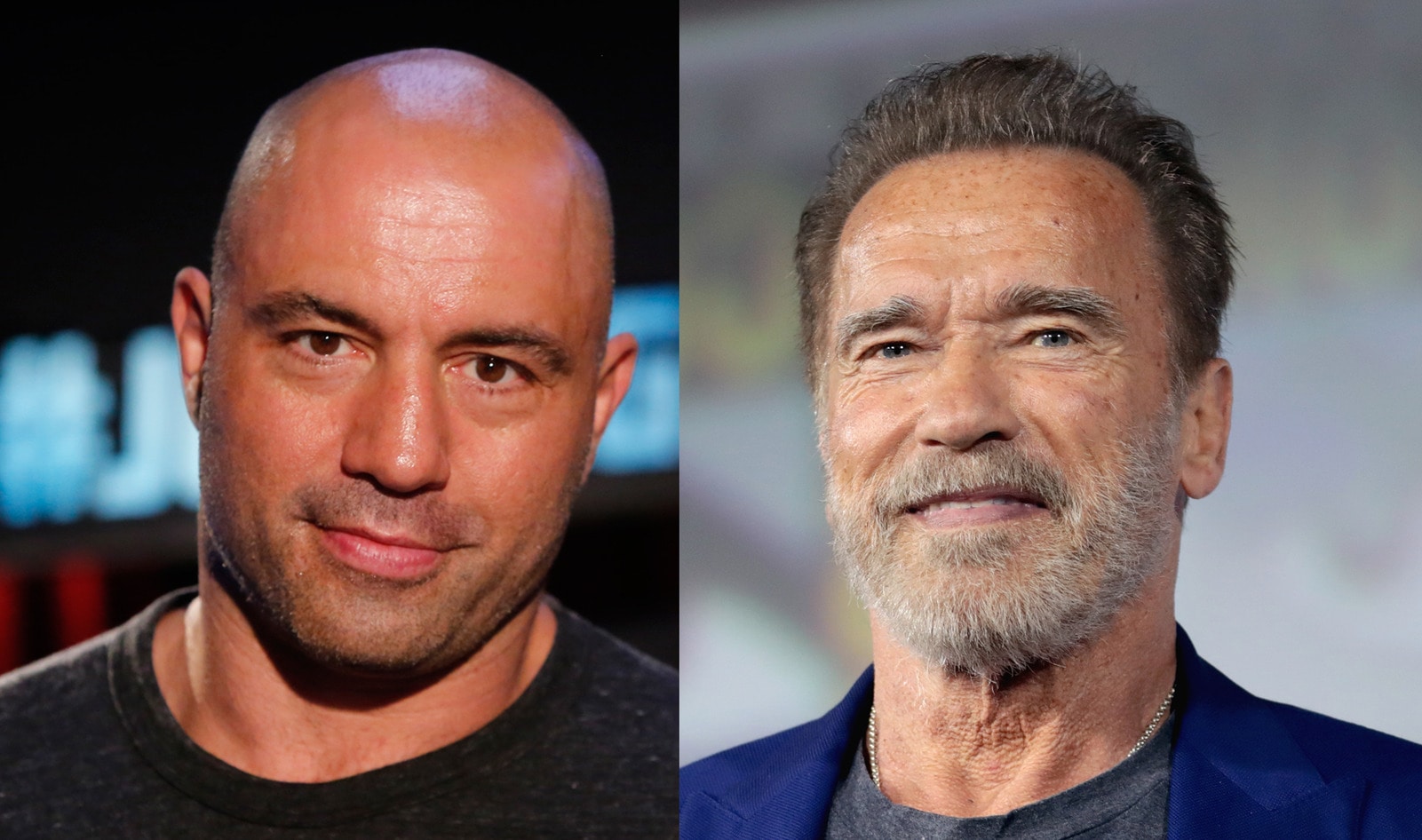 Arnold Schwarzenegger Commends Joe Rogan for Changing His Mind About <i>The Game Changers </i>