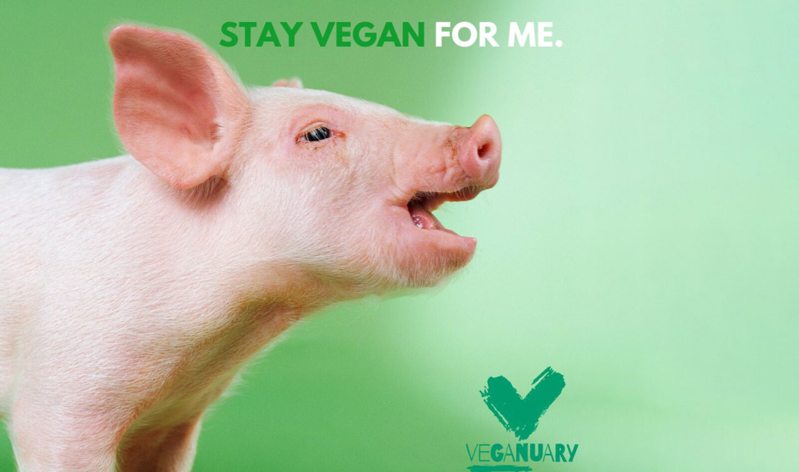 Record 400,000 People Pledged to Go Vegan for Veganuary