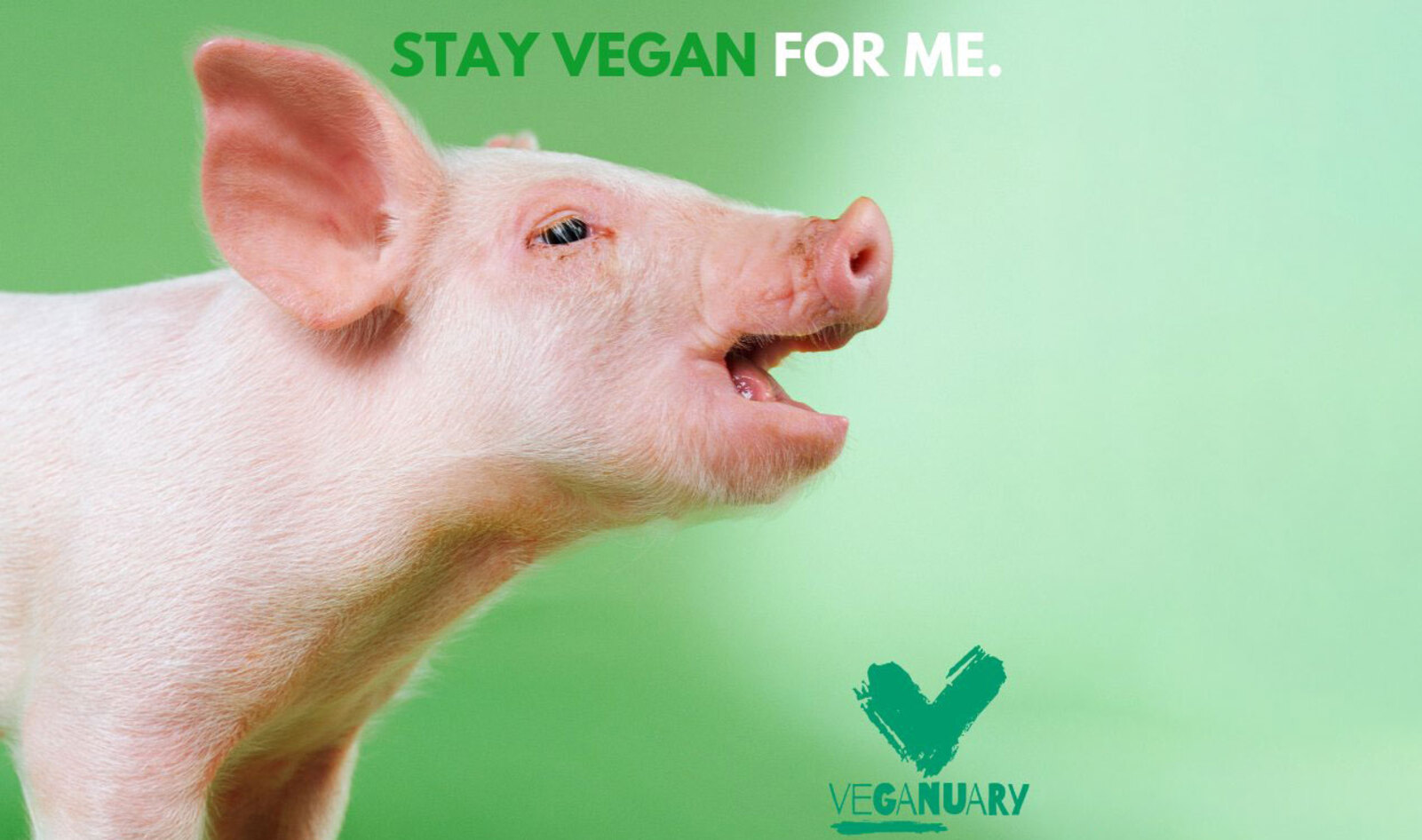 Veganuary Comes to United States in 2020