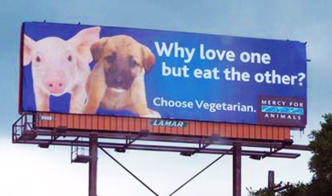 Anti-Factory Farming Group Enters Ad Space Contest