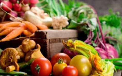Vegan Diet Helps Curb Cardiovascular Disease and Diabetes
