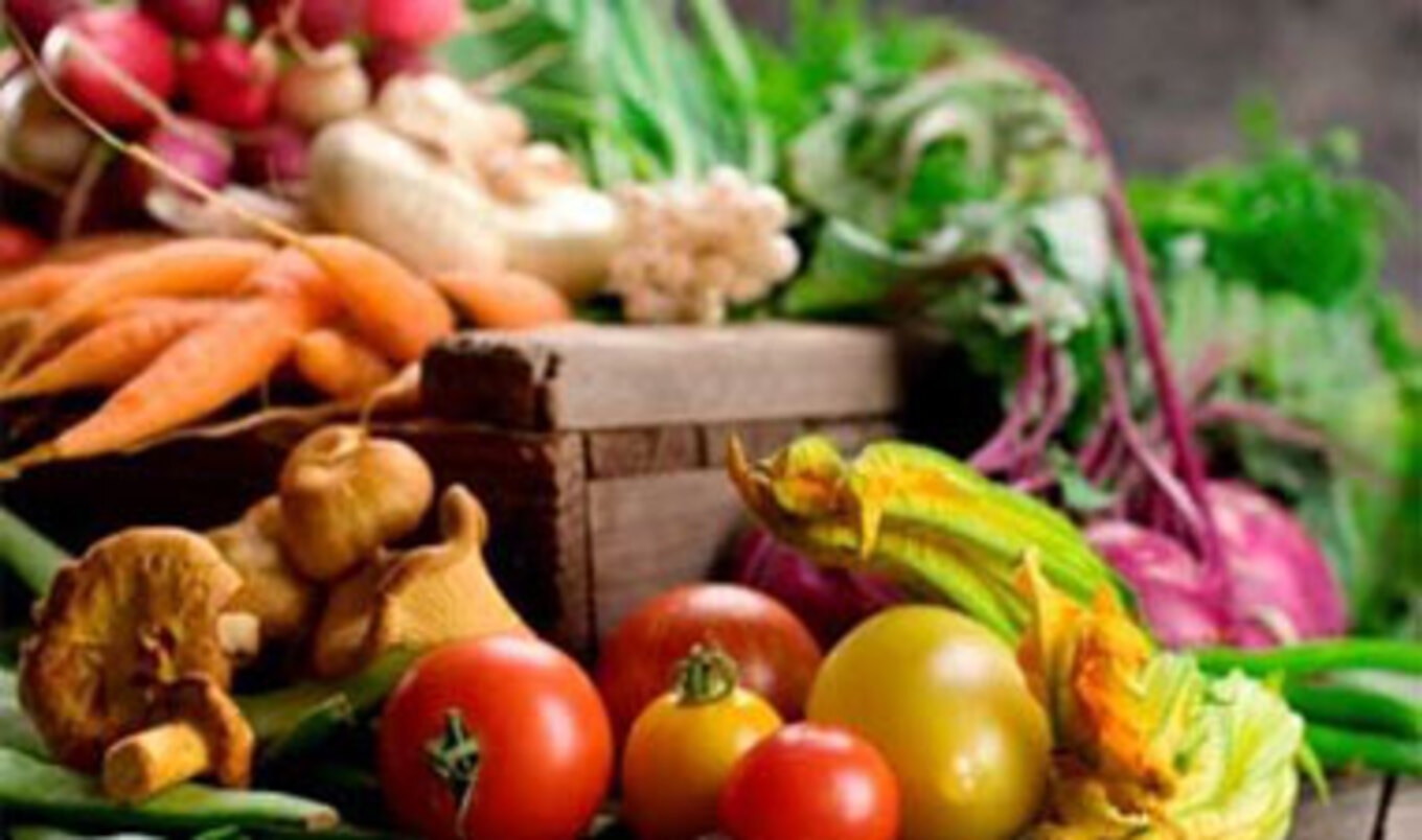 Vegan Diet Helps Curb Cardiovascular Disease and Diabetes