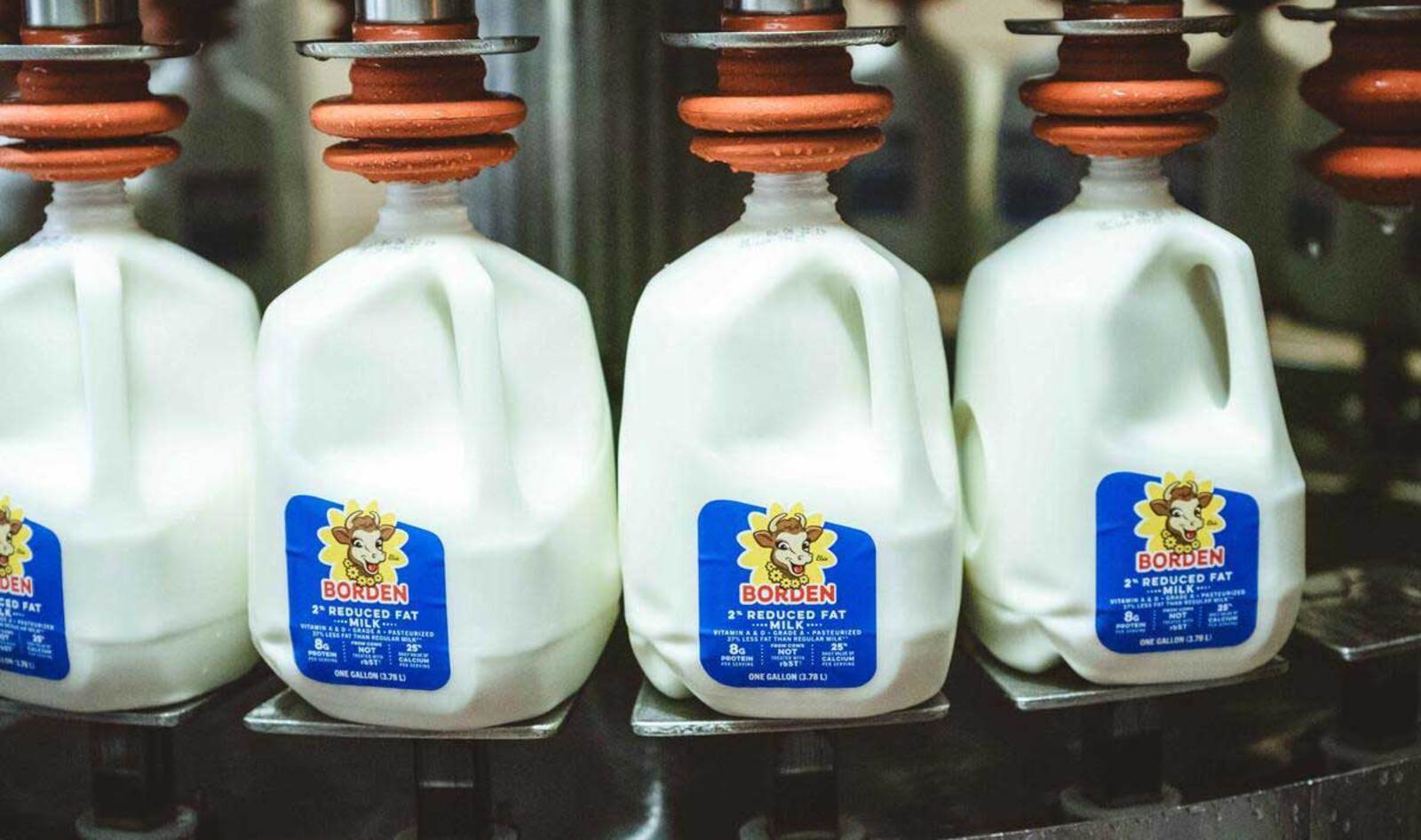 One of America’s Oldest Milk Companies Files for Bankruptcy