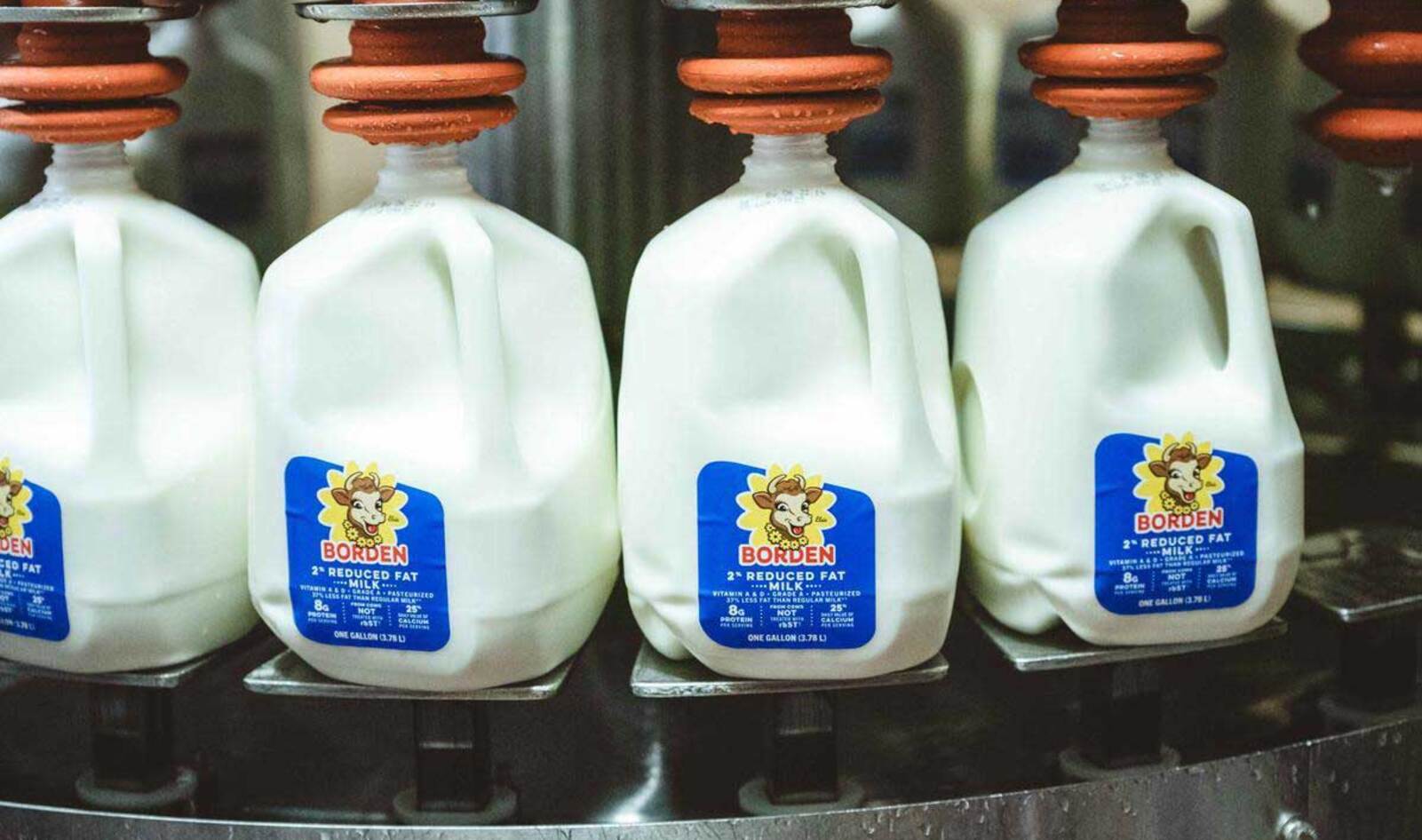Bankrupt Dairy Company Tries to Lure Back Customers with Free Cookies