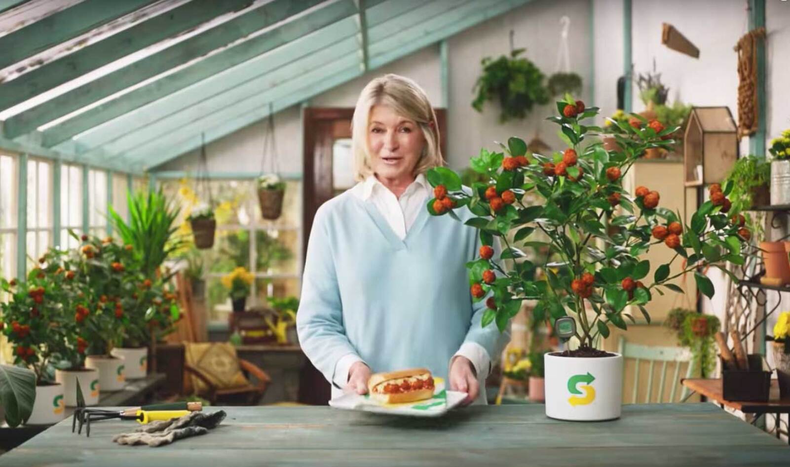 Martha Stewart Partners with Beyond Meat to Fight Climate Change