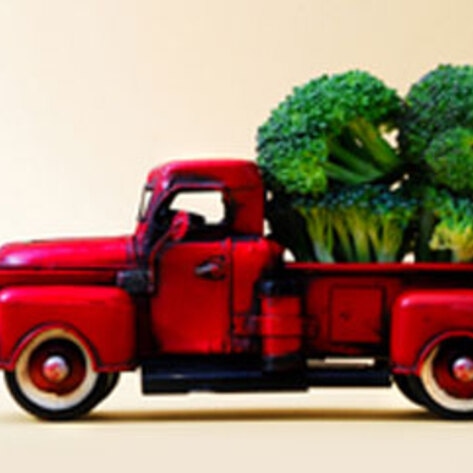 Austin's Veg Meal Service