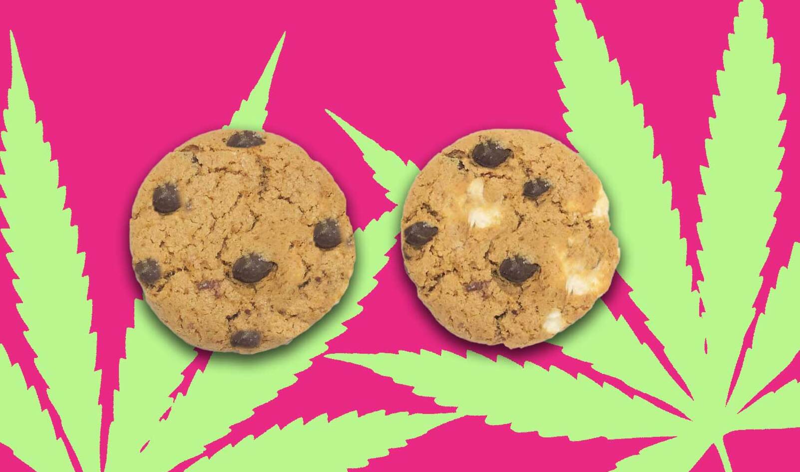 Cannabis-Infused Vegan Cookies Launch in California Dispensaries 