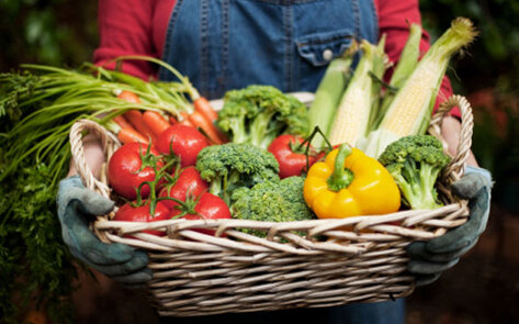 Urban Gardeners Growing Near You