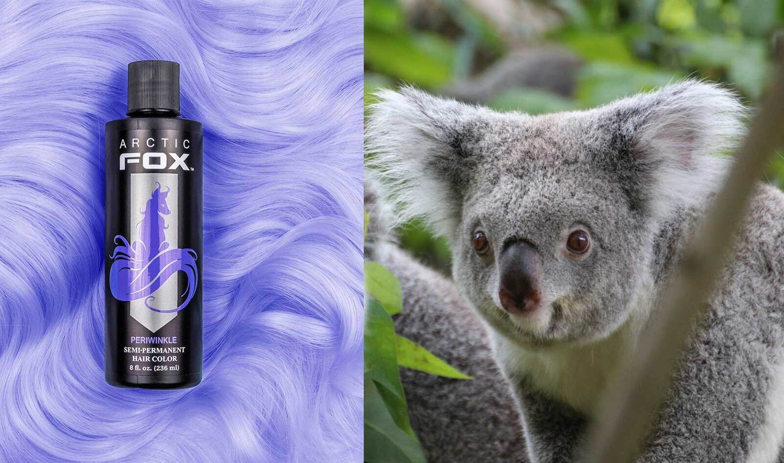 Vegan Hair Brand Arctic Fox Donates Profits to Help Animals Ravaged by Australian Wildfires&nbsp;