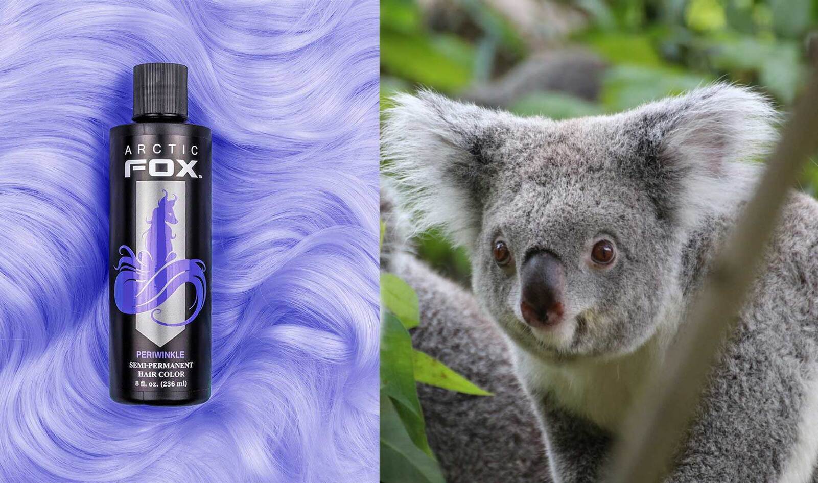 Vegan Hair Brand Arctic Fox Donates Profits to Help Animals Ravaged by Australian Wildfires 