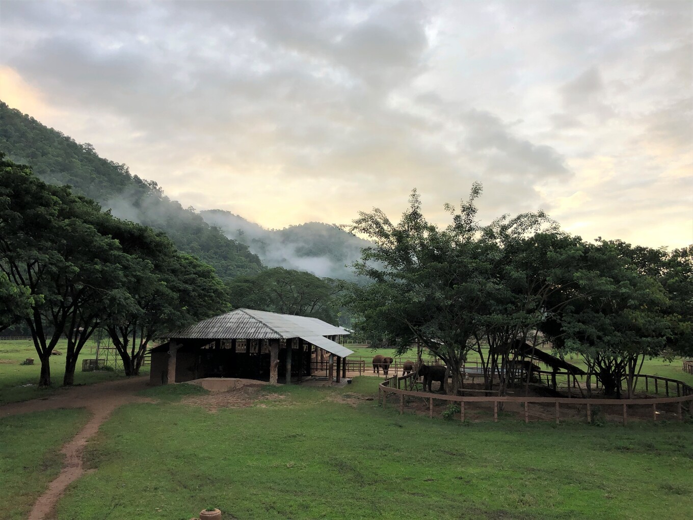 VegNews.ElephantSanctuary2