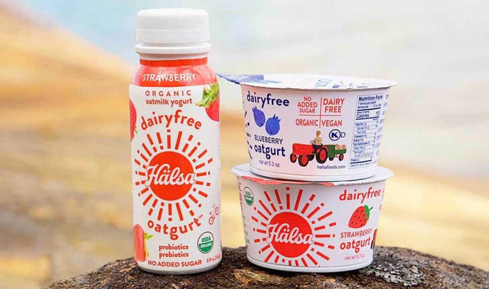 Scandinavian Vegan Yogurt Brand Aims to Convert US Dairy Farms to Oat Growers