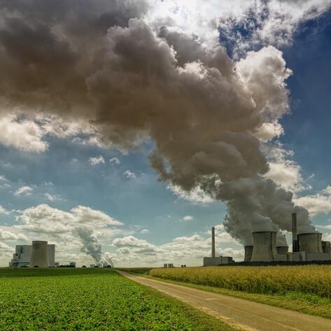 As the World Burns: “Vegans Are Destroying the Planet” and Other Half-Baked Claims