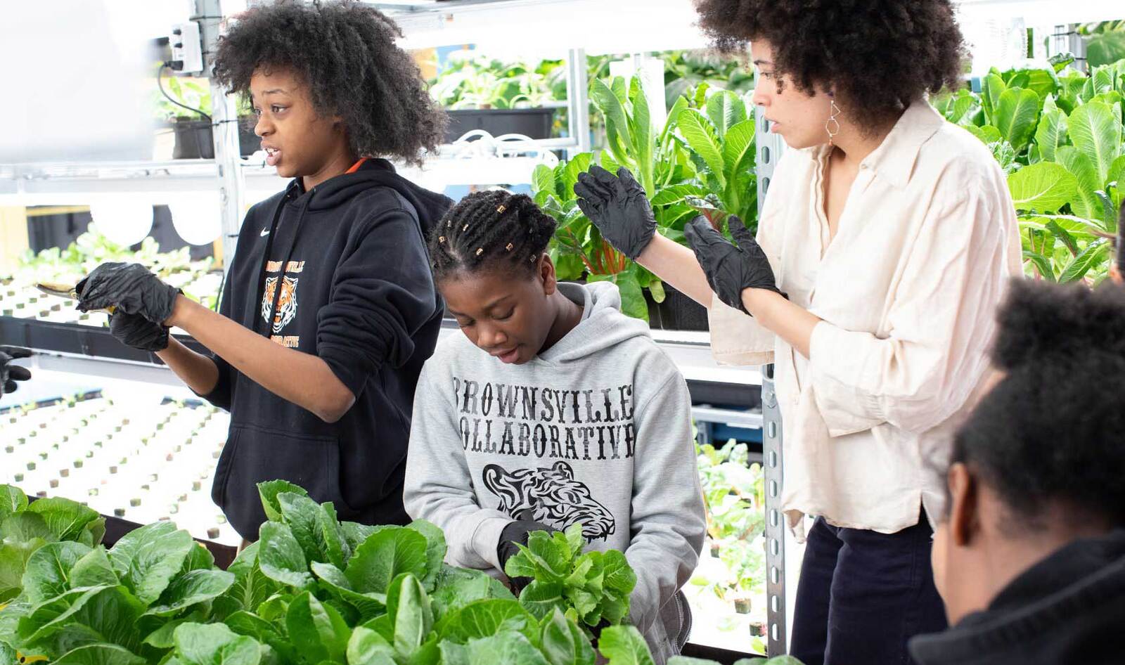 Vegan NYC Council Member Funds Teens for Food Justice Program at the MLK Education Center
