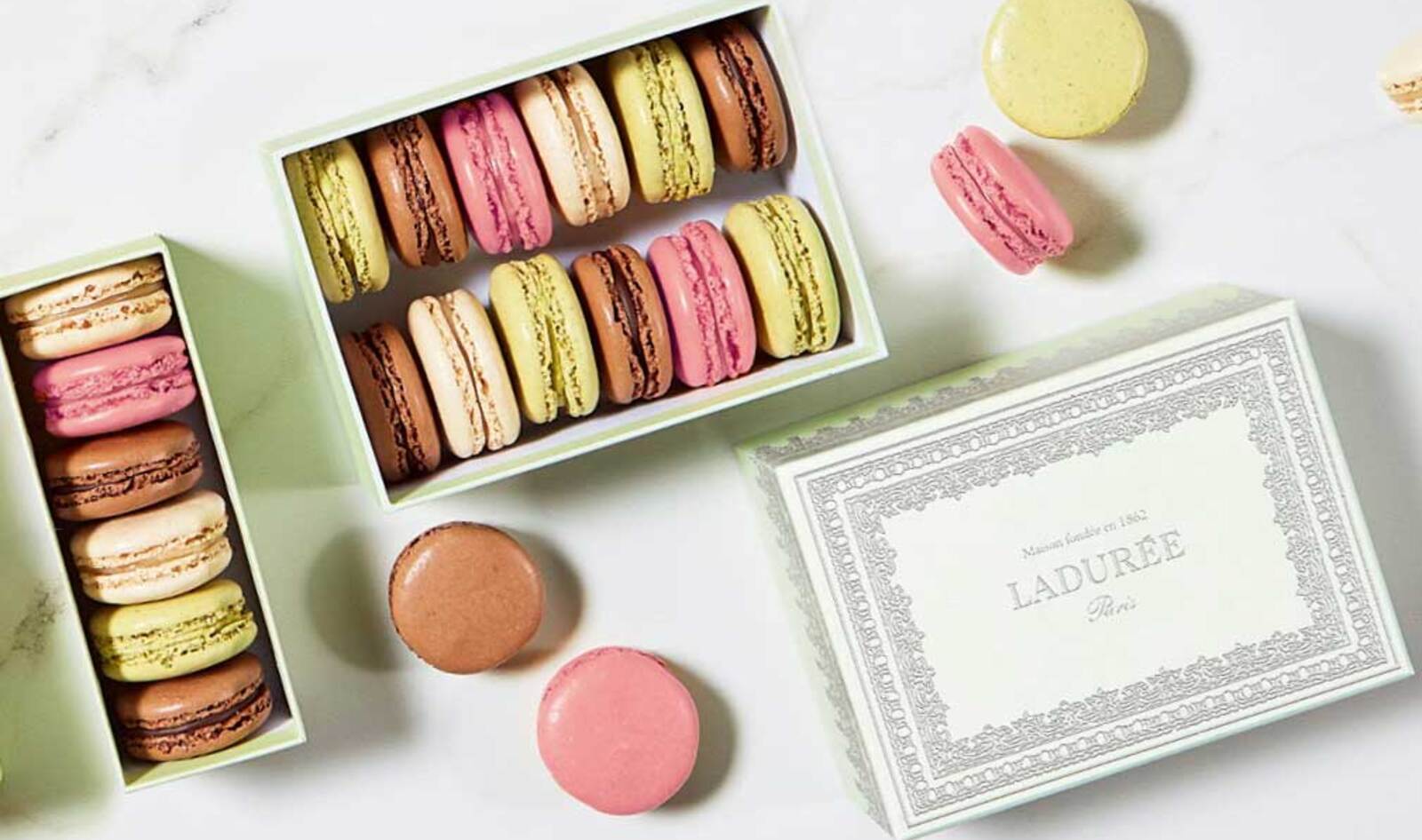 VegNews.LadureeParis
