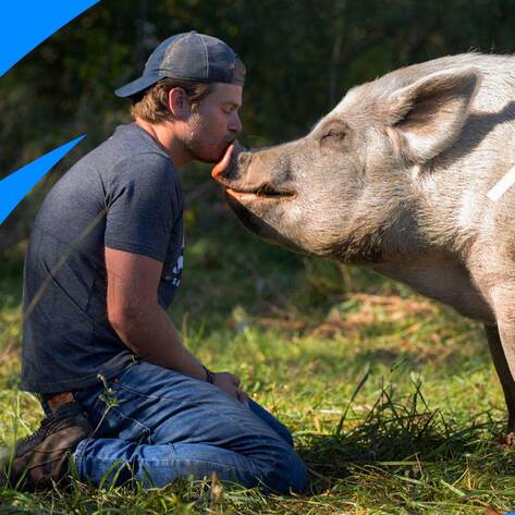 New Vegan Show Will Debut on Animal Planet in Early April 