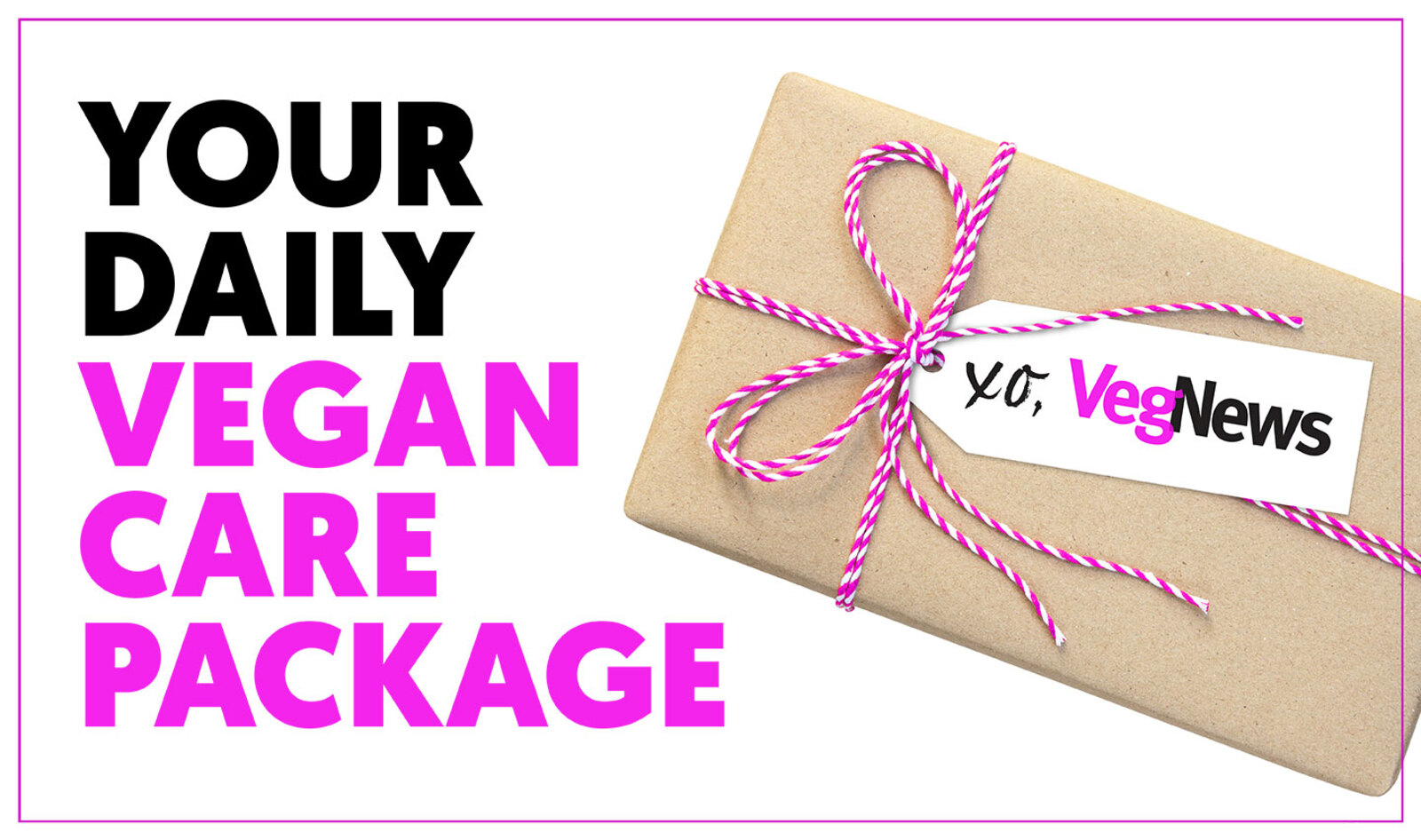 VegNews Daily Vegan Care Package Library